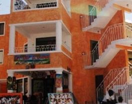 LOS FLAMENCOS del DOMINICUS